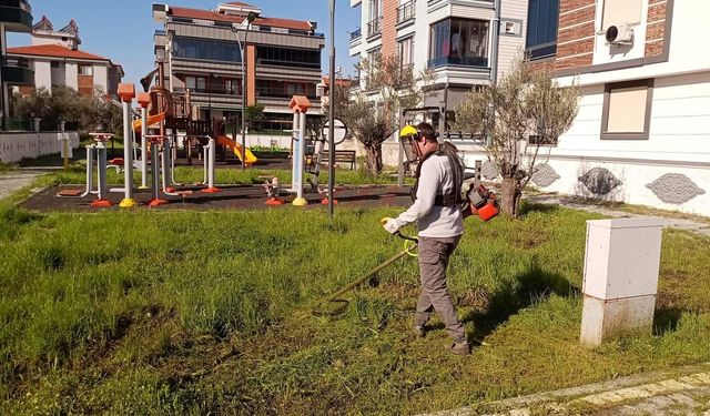 Edremit’te Park ve Yeşil Alanlarda Bakım Çalışmaları Sürüyor