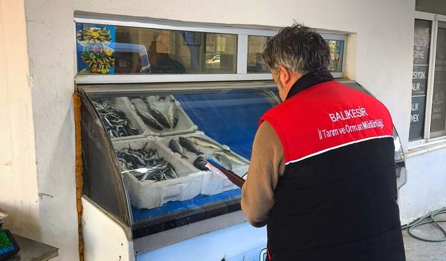 Gömeç’te Su Ürünleri Satış Yerleri Denetlendi: Gıda Güvenliği İçin Kontroller Sürüyor