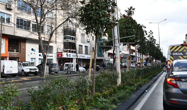 Balıkesir Büyükşehir’den 20 İlçede Peyzaj ve Çevre Düzenleme Çalışması