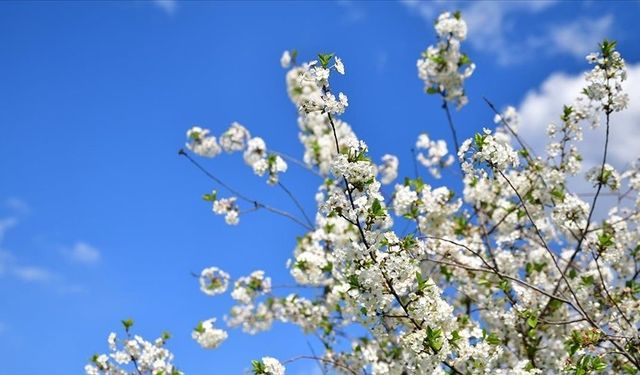 2. Cemre Ne Zaman, Nereye Düşecek? 2026 Cemre Düşme Tarihleri ve Sıralaması!