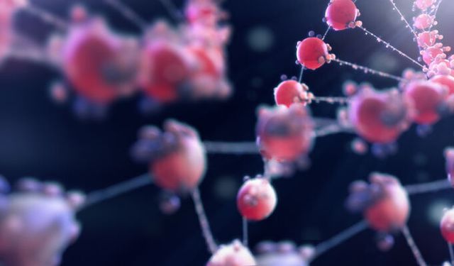 Yanma, Ağrı, Böbrek Yetmezliği… Fabry Hastalığı Sessizce İlerliyor