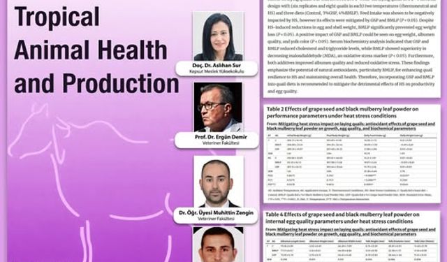 BAÜN’den Bilimsel Atılım: Bıldırcınlarda Sıcaklık Stresine Üzüm Çekirdeği ve Kara Dut Çözümü