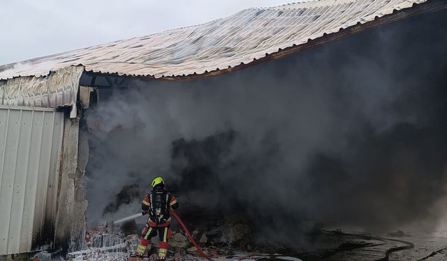 SON DAKİKA: Bandırma'da Çiftlik Yangını Paniği! Külefli Mahallesi Alevlere Teslim Oldu!