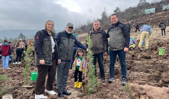 Kepsut’ta küllerinden doğan orman! Yangından etkilenen alanlar yeşeriyor