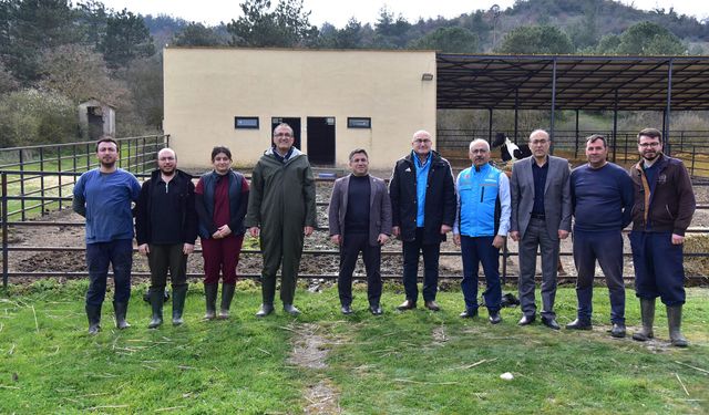 Balıkesir Üniversitesi'nde bahar sevinci! Yavru kuzular ilk kez anneleriyle buluştu