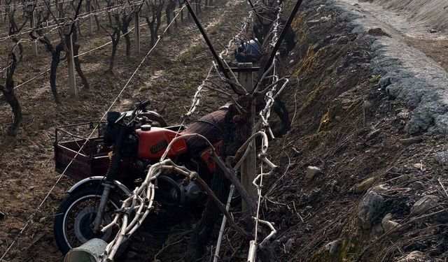 Salihli'de Motosiklet Kazası: 70 Yaşındaki Sürücü Hayatını Kaybetti