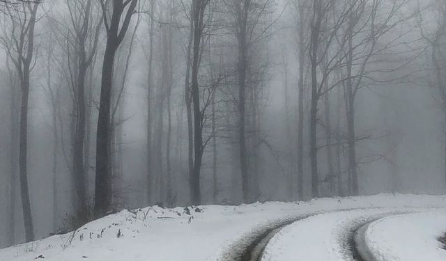 Erdek’te Mart Sürprizi: Kapıdağ Yarımadası Beyaza Büründü! Kar Keyfi Başladı