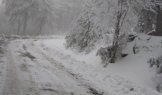 Kazdağları’nda Mart Sürprizi: Milli Park Beyaza Büründü! Kar Kalınlığı Yarım Metreyi Buldu