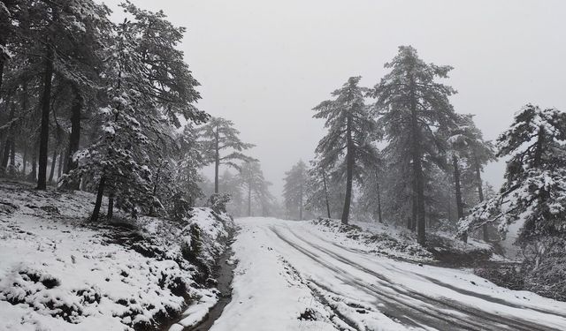 Manisa'da Sürpriz Kar Yağışı! Demirci Beyaza Büründü: Görüş Mesafesi 20 Metreye Düştü