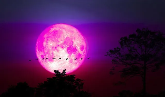 2026 Pembe Dolunay Ne Zaman, Saat Kaçta? Ay Gerçekten Pembe mi Olacak? İşte Türkiye’den İzleme Rehberi!