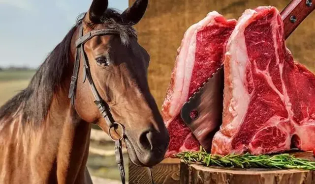 İstanbul'da At Eti Operasyonu: 306 Kilogram Et ve Suç Cephaneliği Ele Geçirildi!