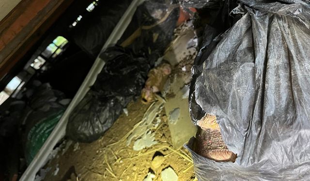 Gömeç’te Yürekleri Ağza Getiren Anlar! Mahsur Kalan Yavru Köpeğin İmdadına Ekipler Yetişti!