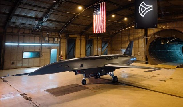 Airbus'tan Kamikaze İHA Avcısı: Bird of Prey!