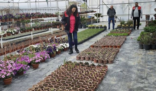 Gömeç’te Süs Bitkilerine Sıkı Markaj: İlçe Tarım Ekiplerinden Sahada Titiz Denetim!