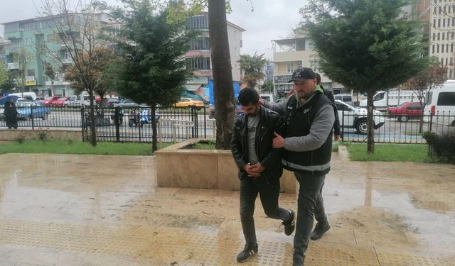 Tokat’ta Tır Dorsesinde Zehir Sevkiyatı: Elektrikli Düzenek Bile Kurtaramadı, Sürücü Tutuklandı