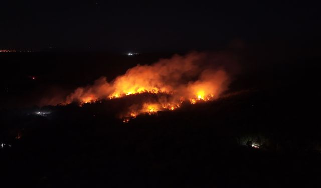 Beykoz’da Korkutan Gece! Orman Yangını Kontrol Altına Alındı! Son Durum Ne?