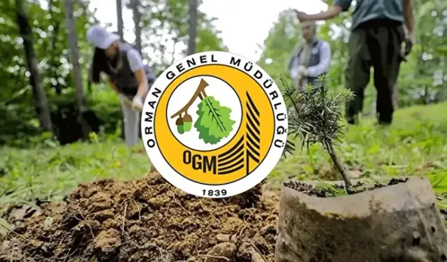 ALAÇAM ORMAN ISLETME MÜDÜRLÜGÜNDE 2026 YİLİNDA ÜRETİLECEK ORMAN EMVALLERİNİN BOYLAMA VE MESAHA İSLERİ