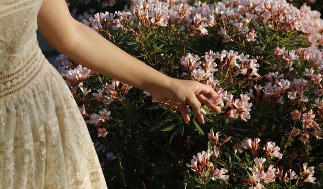 Bahar depresyonu mu yaşıyorsunuz? 10 soruda test edin!