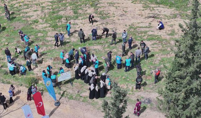 Balıkesir'de Yeşil Seferberlik! Susurluk'ta Binlerce Fidan Toprakla Buluştu!