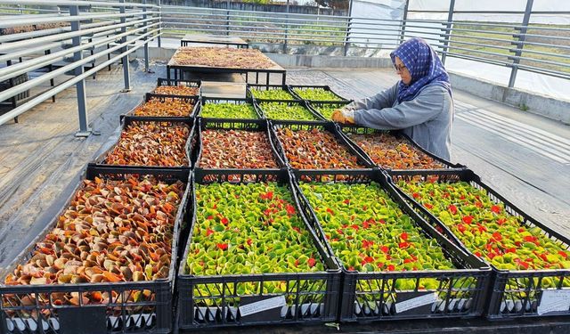 Gönen Belediyesi’nden Hizmet Atağı: Altyapıdan Parklara Mahalle Mahalle Çalışma Listesi