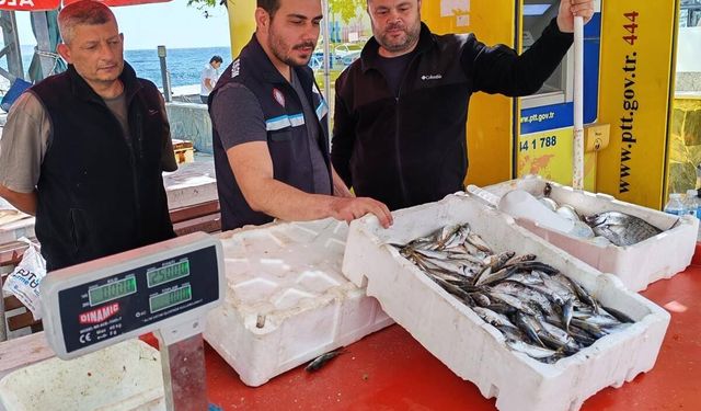 Marmara Adası'nda Balık Tezgahlarına Sıkı Denetim: Su Ürünleri Kontrolü Yapıldı