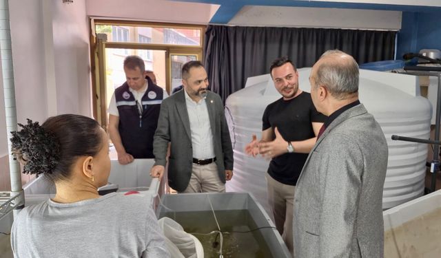 Türkiye'de Bir İlk Balıkesir'de Başarıldı! 120 Bin Adet Üretildi: Denizlerin "Doğal Filtresi" Ekonomiye Can Verecek