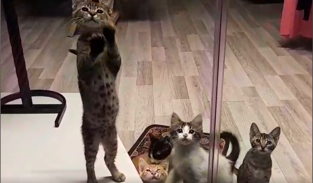 Herkes tatilde biz dükkanı bekliyoruz...