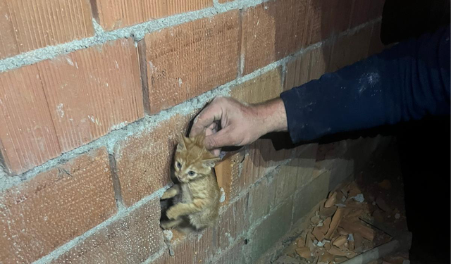 Duvar arasına sıkışan yavru kediyi böyle kurtardılar