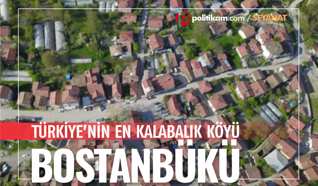 Türkiye'nin en kalabalık köyü hakkında her şey