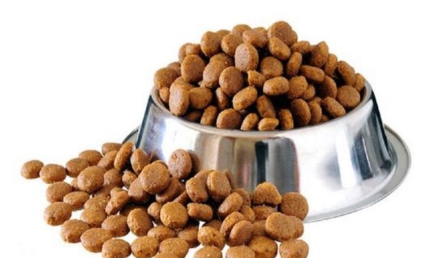 YETİŞKİN KÖPEK VE KEDİ MAMASI ALIMI