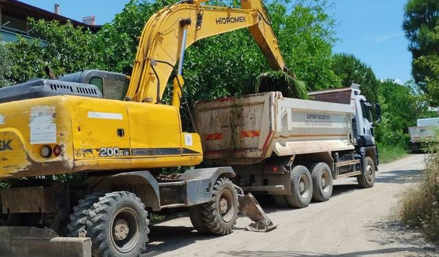 Edremit Belediyesi'nden Çevre Hamlesi: Pina Deresi’nde Temizlik Seferberliği