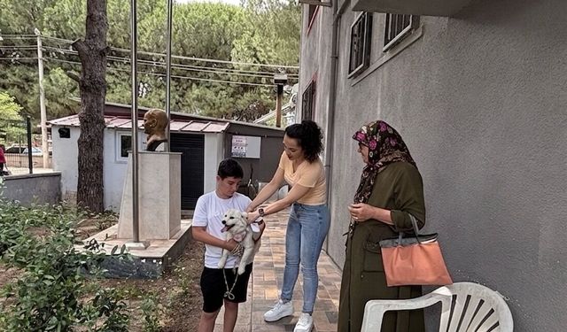 Gömeç’te Can Dostlara Mikroçip Güvencesi: Kayıt İşlemleri Sürüyor!
