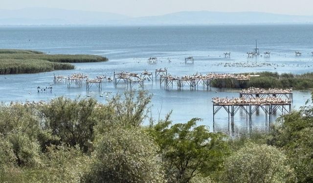Bandırma Festivali'nde 3. Gün: Doğa, Sanat ve Çevre Bilinci Buluştu