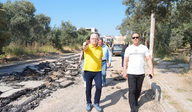 Burhaniye Pelitköy sahil yolunda asfalt mesaisi