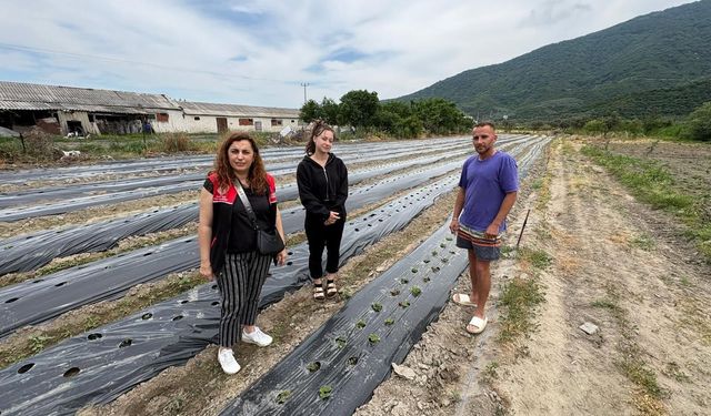 Erdekli Çiftçinin Yeni Kazanç Kapısı: Çilek Üretim Projesi Başladı