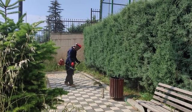 Dursunbey’de Yeşil Alanlarda Bakım Çalışmaları Hız Kesmiyor