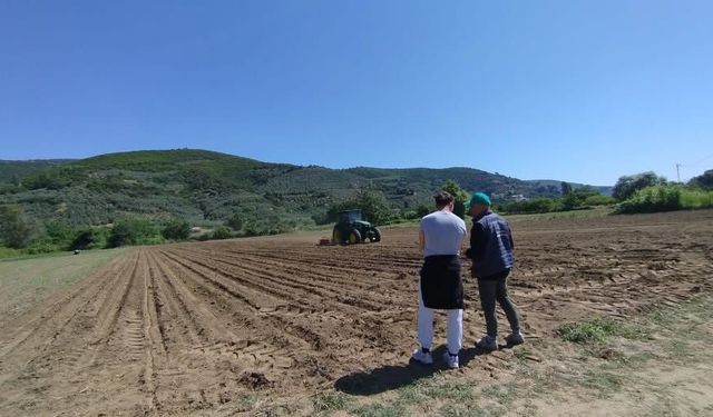 Marmara Adalar Belediyesi'nden Çiftçiye Destek: 120 Dönüm Arazide Silajlık Mısır Ekimi Başladı!