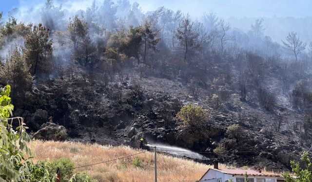 Son Dakika: Balıkesir Burhaniye'de Orman Yangını Söndürüldü!