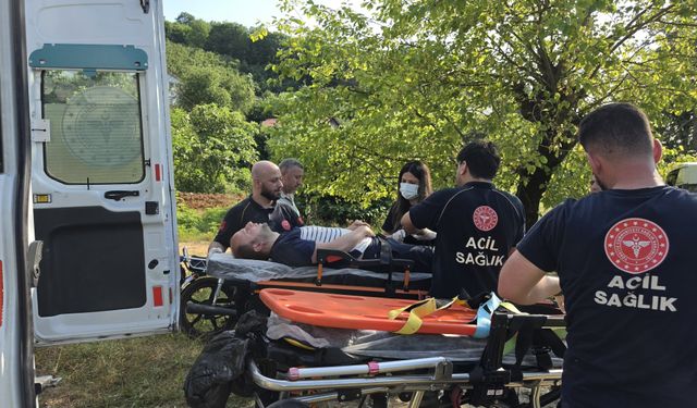 Sakarya'da Acı Olay: Ihlamur Toplamaya Giden 68 Yaşındaki Mustafa Bayrak Ölü Bulundu