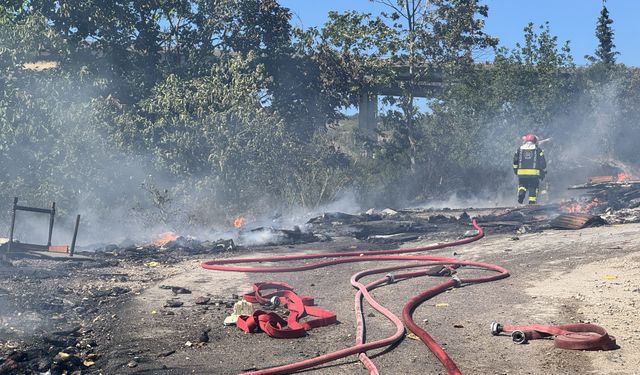 SON DAKİKA: Kocaeli’de Orman Yangını! Ağaçlık ve Makilik Alan Alevlere Teslim Oldu