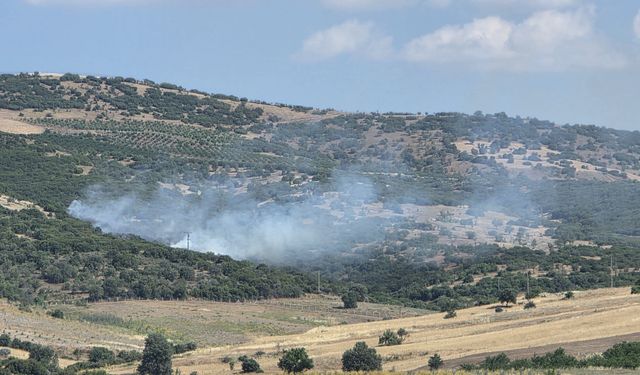Manisa'da Korkutan Yangın! Helikopter Ve İtfaiye Ekipleri Bölgeye Sevk Edildi!