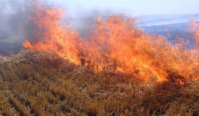 Yaz sıcaklarıyla birlikte risk arttı: Taşınmaz sahiplerine yabani otları temizleyin çağrısı