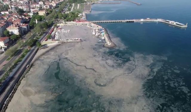 8 Haziran Marmara Denizi Günü: Marmara için zaman daralıyor