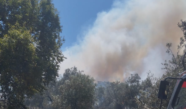 Burhaniye Ören'de Korku Dolu Anlar! Yerleşim Yerlerine Yakın Bölgede Yangın Çıktı