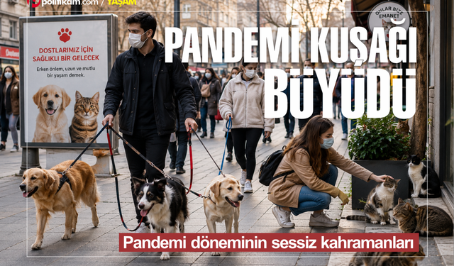 Pandemi Kuşağı Kedi ve Köpekler Orta Yaşa Ulaştı: Sağlıklı Yaşlanma İçin Kritik Dönem Başladı