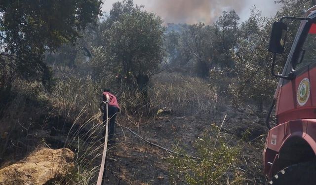 Son Dakika! Balıkesir Burhaniye’de Yangın Paniği! Ekipler Havadan ve Karadan Seferber Oldu!