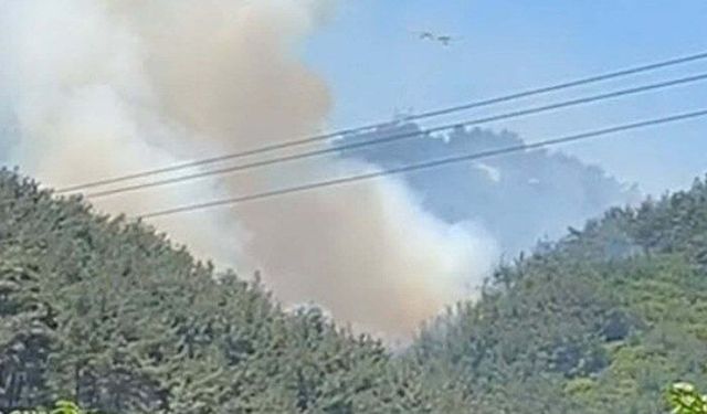 Son Dakika: Soma’daki Orman Yangını Kontrol Altına Alındı!