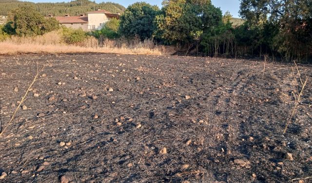 Balıkesir'de Korkutan Arazi Yangını! Buğday Tarlası ve Çalılık Alan Alevlere Teslim Oldu: Ekipler Zamanla Yarıştı!