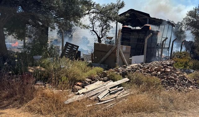 Ayvalık Cunda Adası’nda Korkutan Orman Yangını! Havadan ve Karadan Müdahaleyle Kabus Kontrol Altına Alındı!