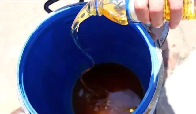 BURHANİYE'DE YAĞINI GETİRENE ÖDÜL var! | 3 Litre Atık Yağa 1 Litre Yemeklik Yağ Hediye